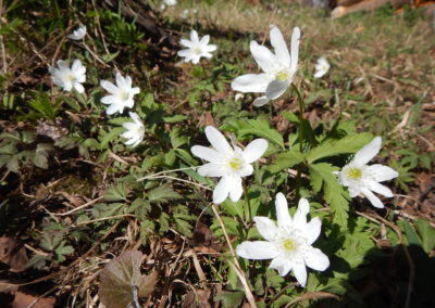 photo (15)