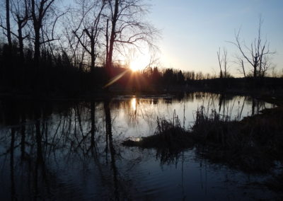 photo (17)