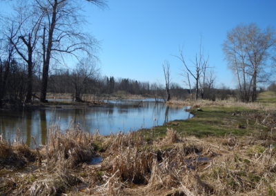 photo (20)