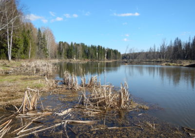 photo (26)