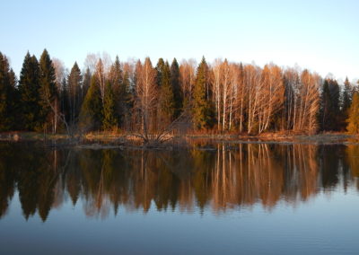 photo (28)