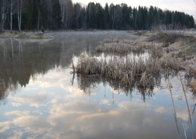 photo (29)