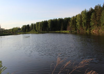 photo (3)